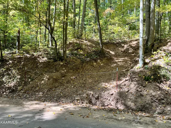 1870 Dyer Hollow Rd #A, Mohawk, TN 37810