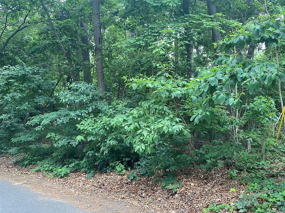 2nd image of Jute Rd