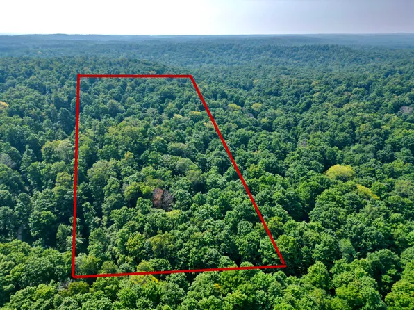 Wildwood Trl, Mancelona, MI 49659