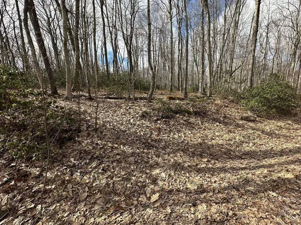 Redwood Dr, Terra Alta, WV 26764