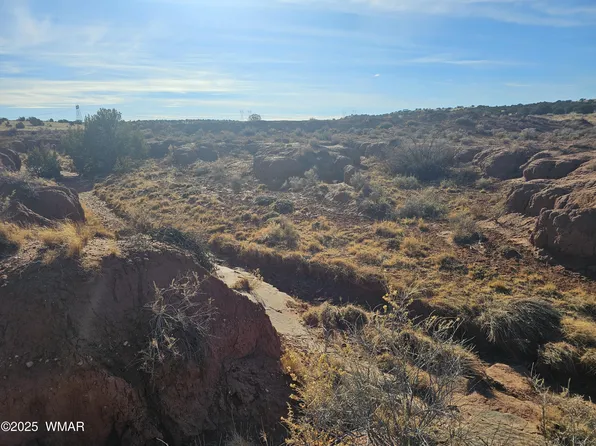 LOT 236 N County Road 9234, Concho, AZ 85924