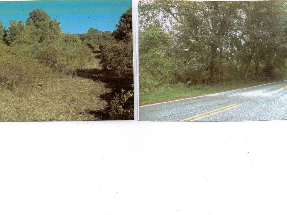 2nd image of LAND-59 Woodland Rd
