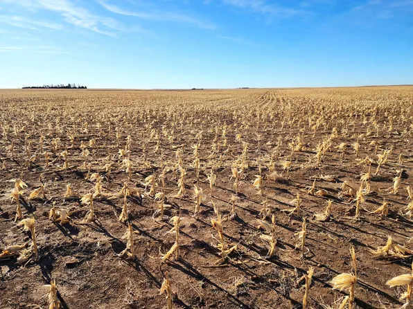 Road 33w, Bushnell, NE 69128