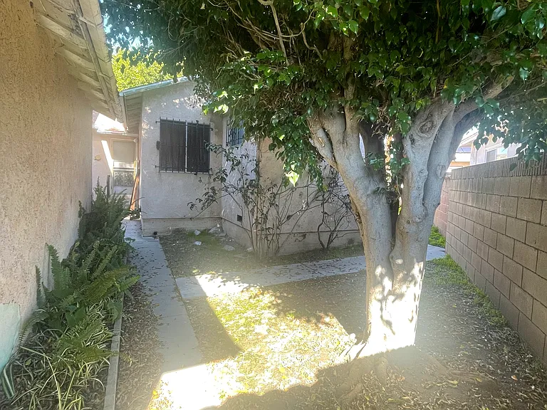 Devenir Ave — Photo 7
