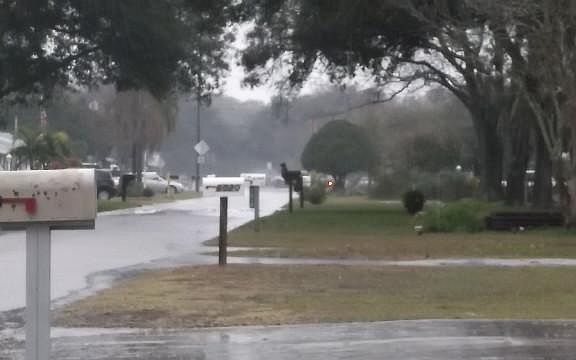 4th image of 5020 47th Ave N