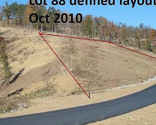 View prior growth of trees