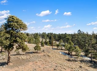 530 Columbine Rd LOT 40, Florissant, CO 80816