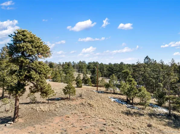 530 Columbine Road LOT 40, Florissant, CO 80816