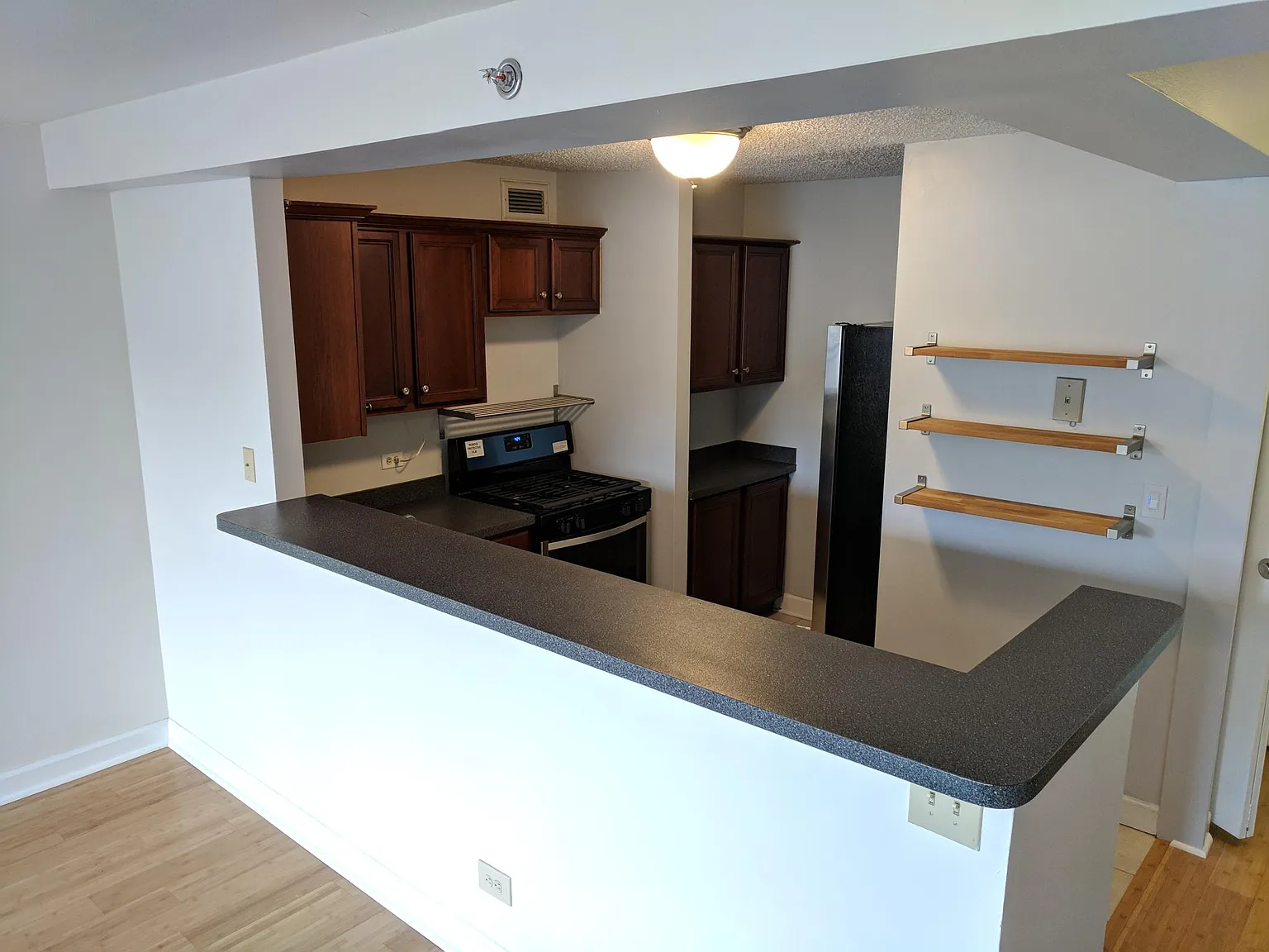 1 bed, 740 sqft, $1,500 — Photo 2
