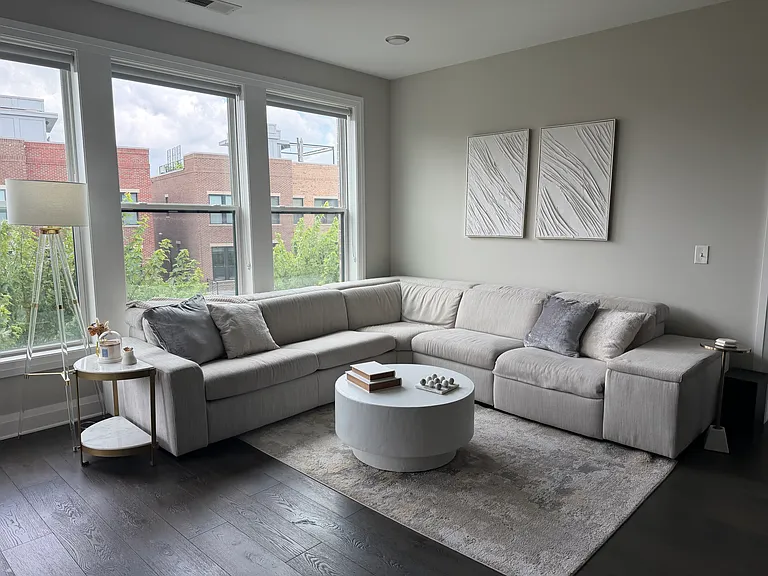 Main Living Space w/ Pull Out Couch