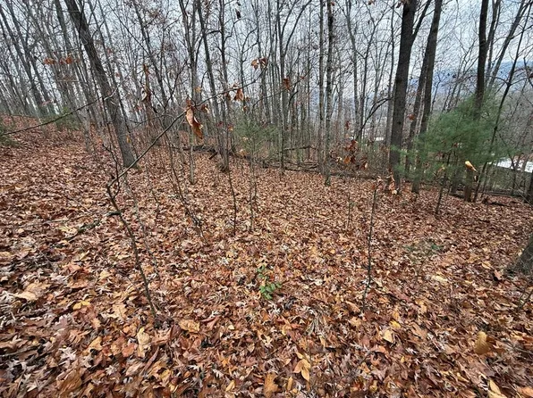 0 Rosenkrantz Ln, Hayesville, NC 28904