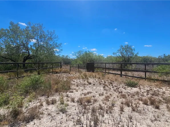 59 0th Tract, Benavides, TX 78341
