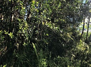 Pakalana Rd LOT 203, Pahoa, HI 96778