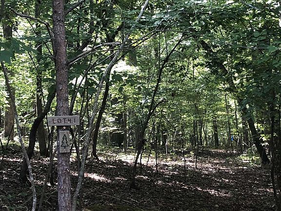 2nd image of 41 Oak Knob Ct Lot 41