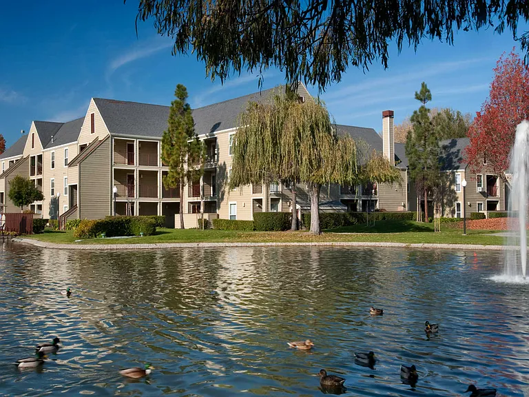 Pond with View of Riva Terra Apartments at Redwood Shores