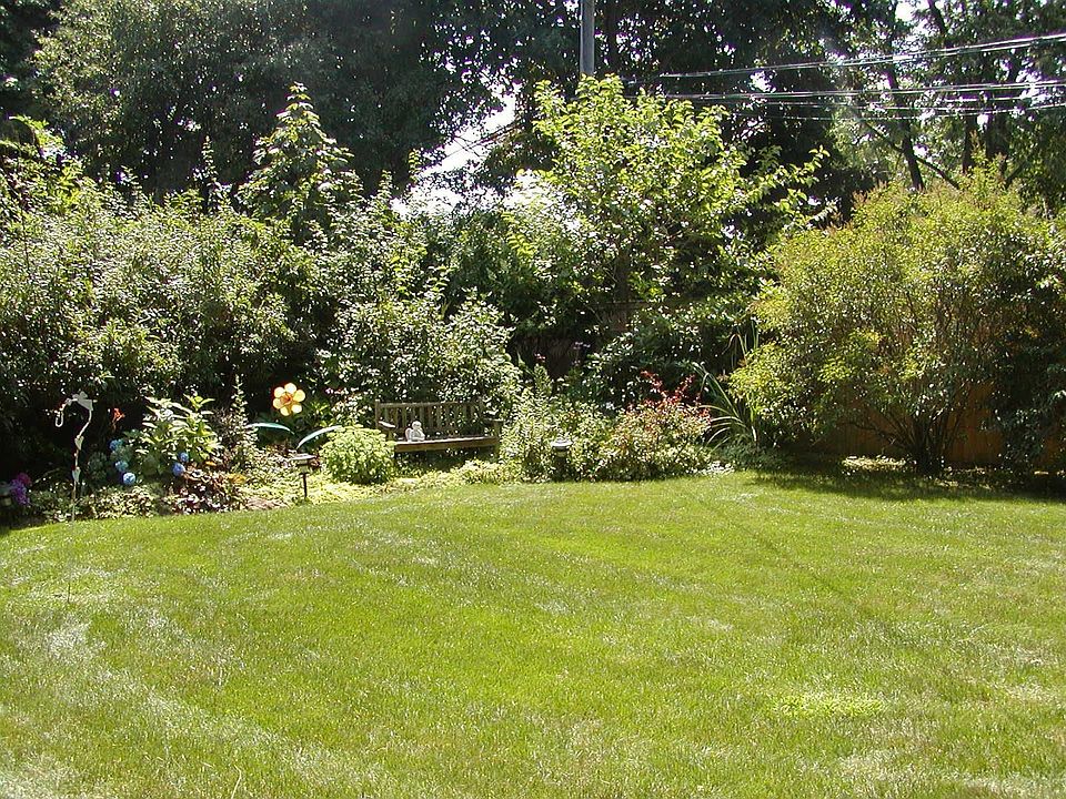 Multiple Rear Gardens