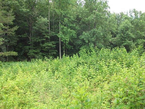 5th image of 0 White Cabin Ln