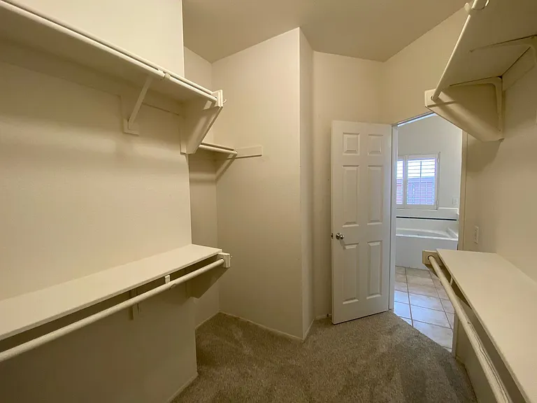 29705 Nandina Dr — Photo 41