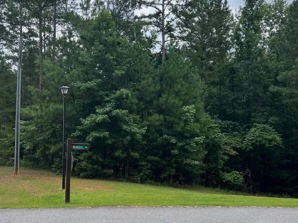 0 Blue Gill Dr #1, Wedowee, AL 36278