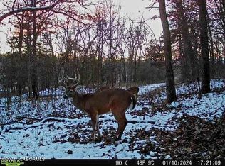 Manito Lake Rd, Fortuna, MO 65034