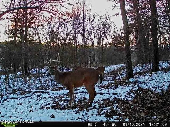 Manito Lake Rd, Fortuna, MO 65034