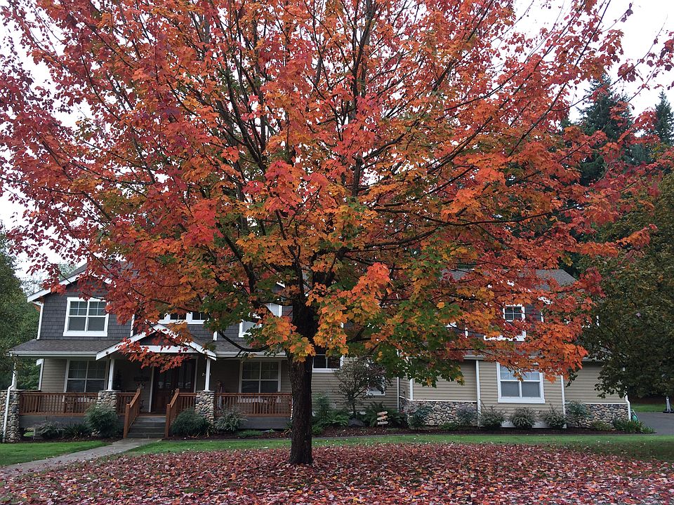 1st image of 21423 NE 14th St