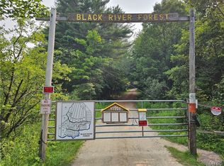 0 Bellingertown Rd #41, Forestport, NY 13338