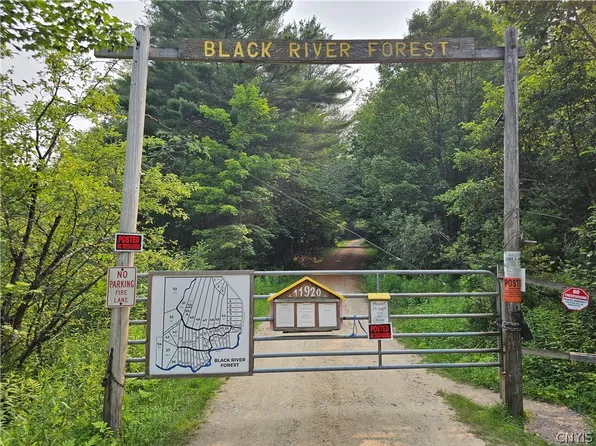 0 Bellingertown Rd #41, Forestport, NY 13338