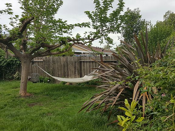 3rd image of 2048 Janette Dr