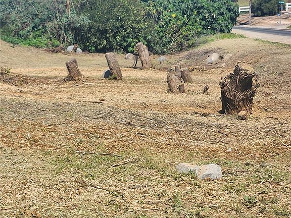 5th image of 0 McAllister St Lot 88