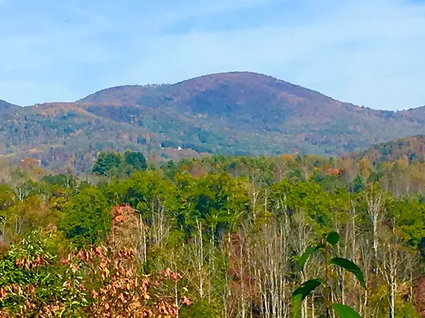 157 Southern Scenic Hts, Hendersonville, NC 28792