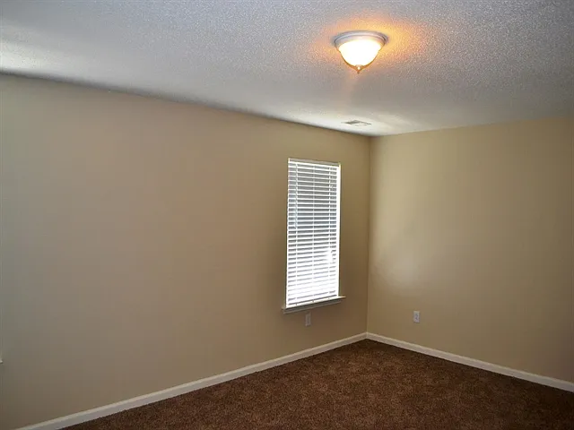 174 Bonnie Woods Dr — Photo 10