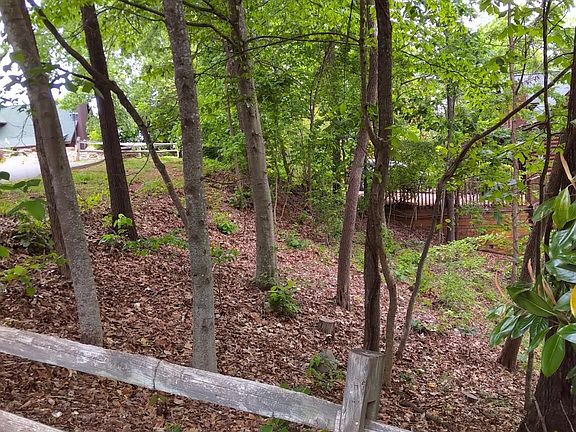 3rd image of 2019 Cluster Oak Way #62