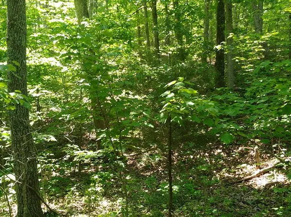 Lot 9 Lake Way, Winona, MO 65588