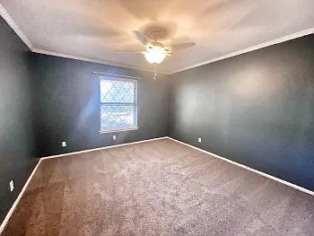 1438 Plumeria St — Photo 23