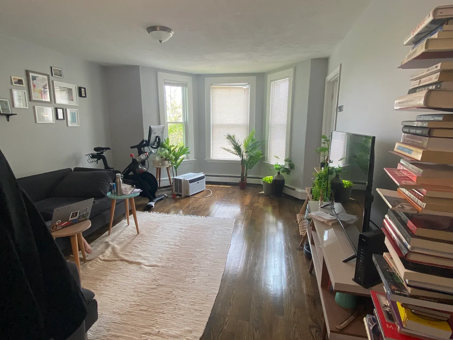 1 bed, 1.0 bath, 800 sqft, $2,600 — Photo 2