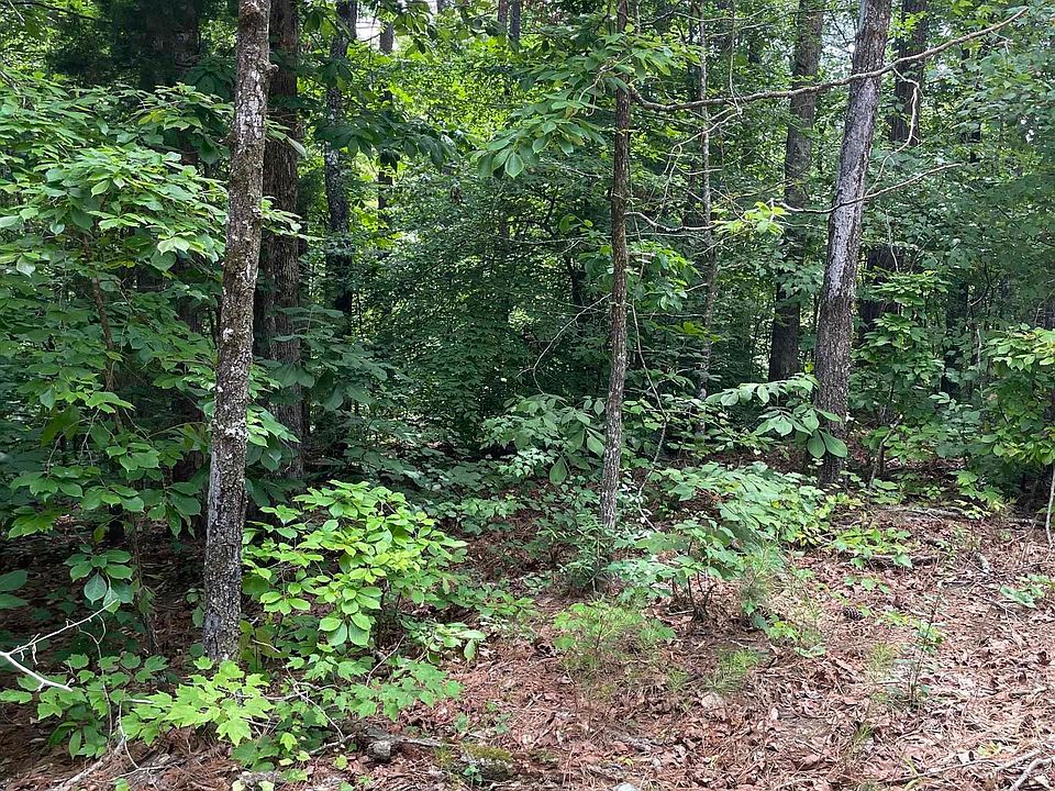 2nd image of 0 Mitchell Dr #3