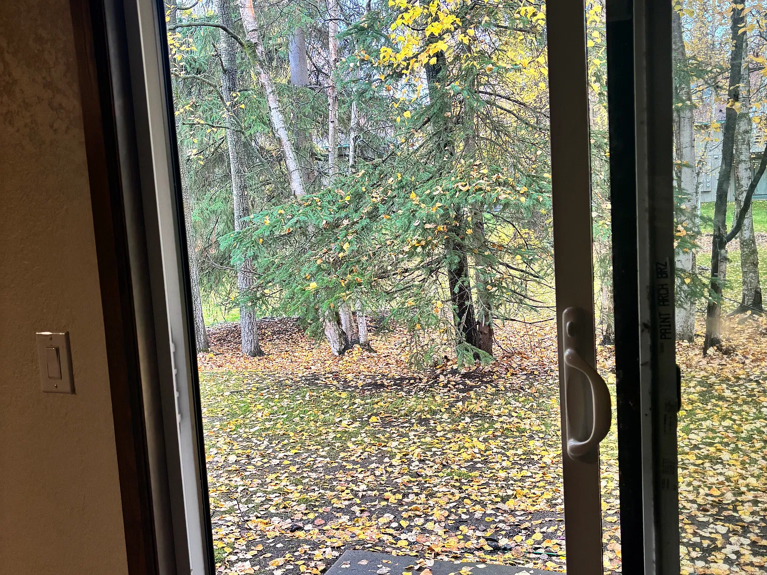 1 bed, 700 sqft, $1,500 — Photo 4