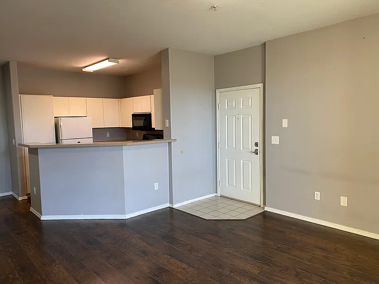 Front door/ living area/ kitchen
