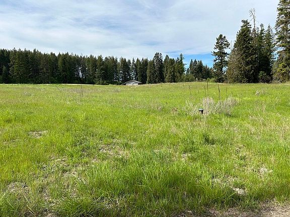 5th image of 2135 White Tail Way