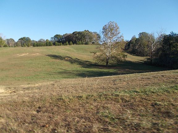 5th image of 1624 Hodgenville Rd