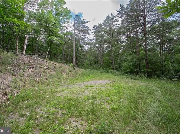 Dogwood Dr, New Market, VA 22844