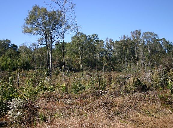 3rd image of 7785 Lee Road 240