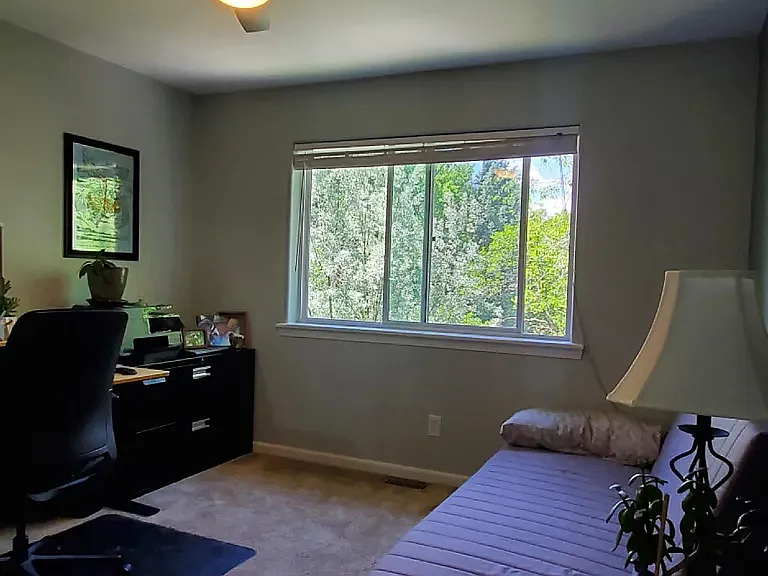 910 Mount Sopris Dr — Photo 4