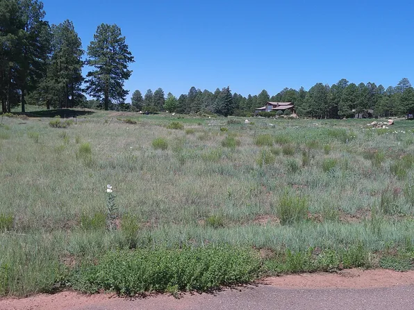 2271 Green Cove Dr, Overgaard, AZ 85933