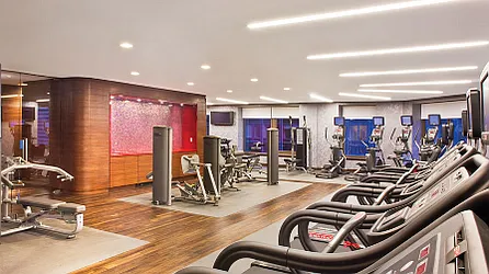 Rented by Maison International