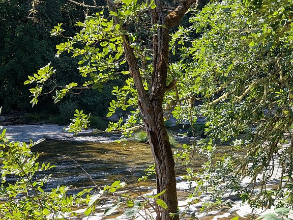 2nd image of 36991 Row River Rd