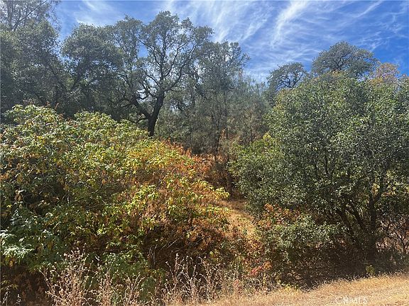 5th image of 12225 Mountain View Dr