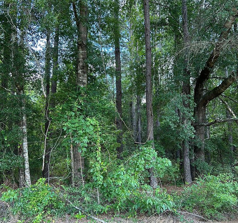 2nd image of 38 Crestview Rd