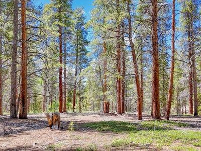 1 Elk Trail  Lot 1, Leadville, CO, 80461